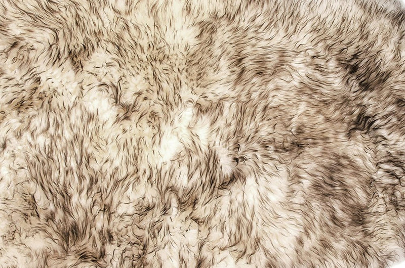 2' X 3' Brown And White Genuine Sheepskin Ombre Area Rug